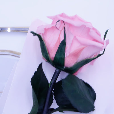 Gastgeschenk Hochzeit Rose